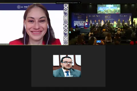 Captura de pantalla de la sesión virtual