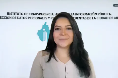 Captura de pantalla de la sesión virtual del Pleno