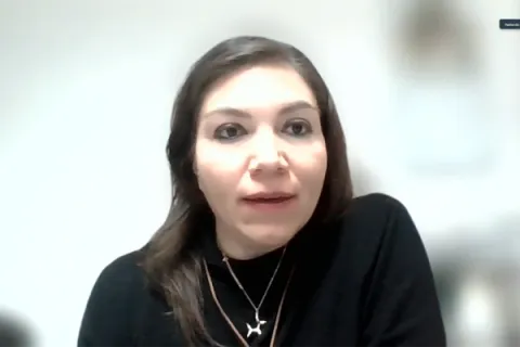 Captura de pantalla de la sesión virtual