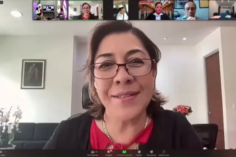 Captura de pantalla de la sesión virtual