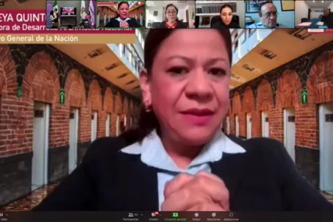 Captura de pantalla de la sesión virtual