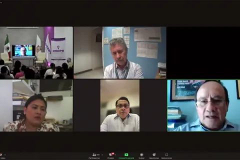 Captura de pantalla de la sesión virtual