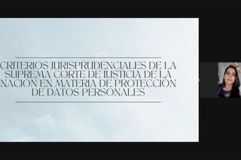 Captura de pantalla de la sesión virtual