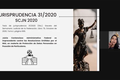 Captura de pantalla de la sesión virtual