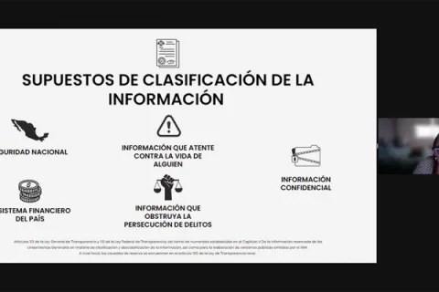 Captura de pantalla de la sesión virtual