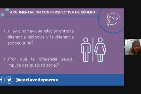 Captura de pantalla de la sesión virtual