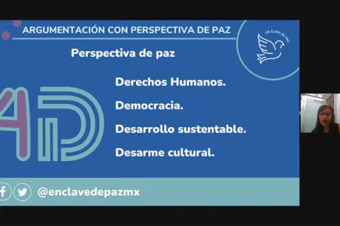 Captura de pantalla de la sesión virtual