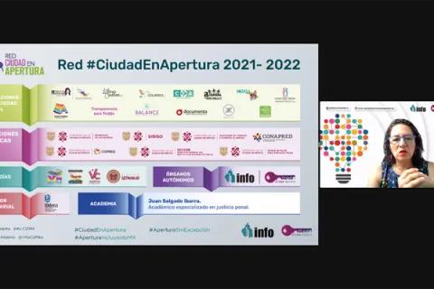 Captura de pantalla de la reunión virtual
