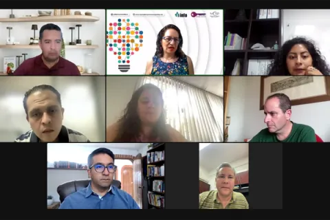 Captura de pantalla de la reunión virtual