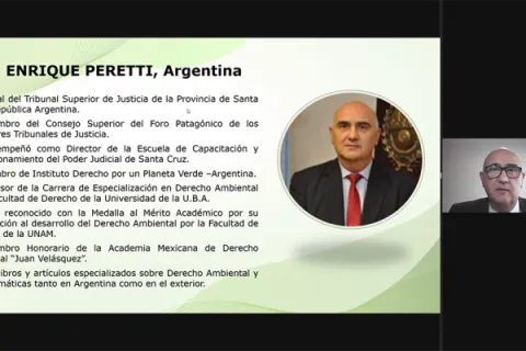 Captura de pantalla de la sesión virtual