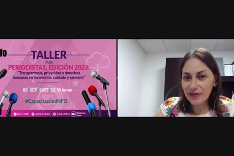 Captura de pantalla de la sesión virtual