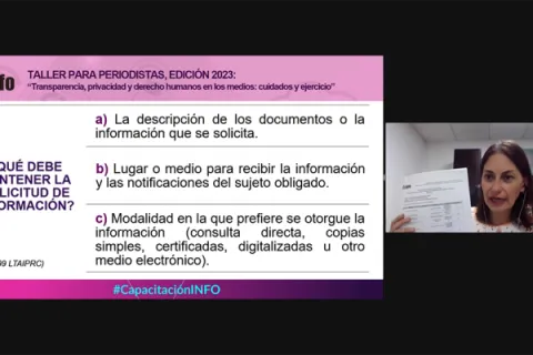 Captura de pantalla de la sesión virtual
