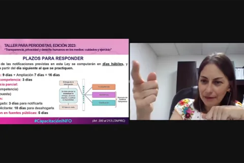 Captura de pantalla de la sesión virtual