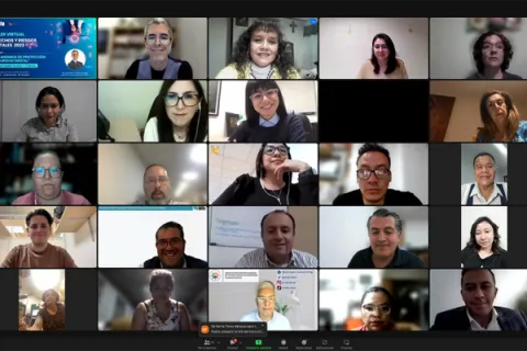Captura de pantalla de la sesión virtual