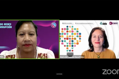 Captura de pantalla de la sesión virtual
