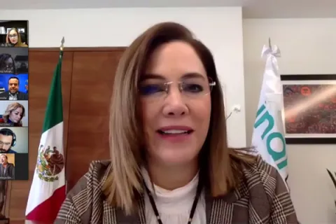 Captura de pantalla de la sesión virtual