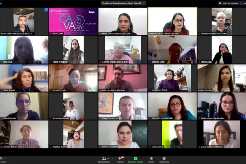 Captura de pantalla de la sesión virtual