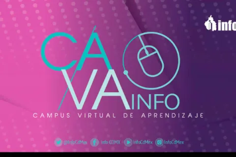 Captura de pantalla de la sesión virtual