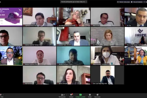 Captura de pantalla de la sesión virtual