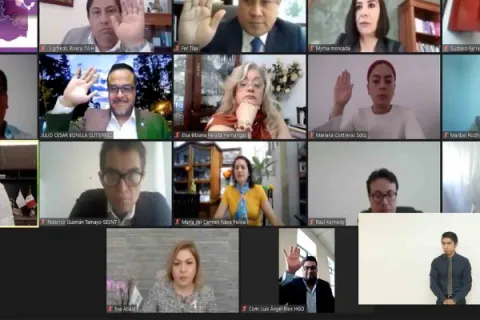 Captura de pantalla de la sesión virtual