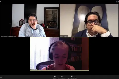 Captura de pantalla de la sesión virtual