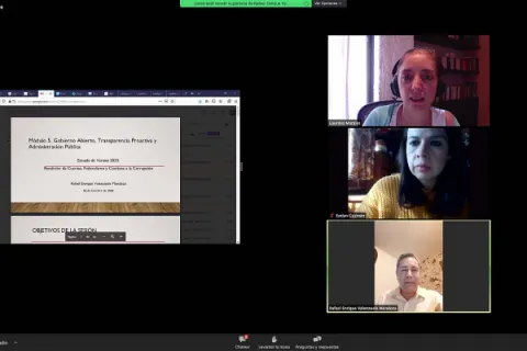 Captura de pantalla de la sesión virtual