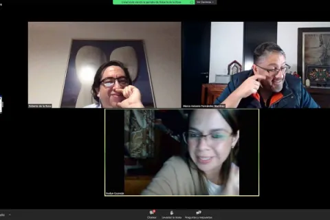 Captura de pantalla de la sesión virtual