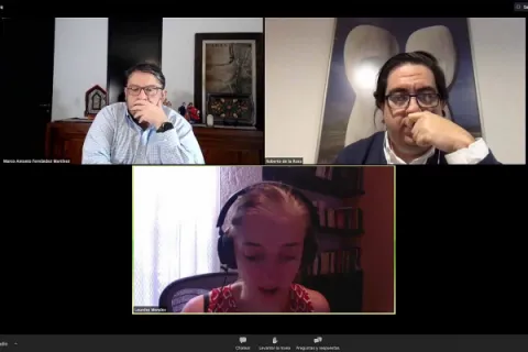 Captura de pantalla de la sesión virtual