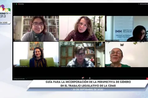 Captura de pantalla de la sesión virtual