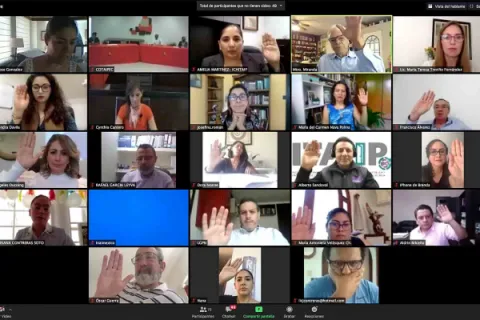 Captura de pantalla de la sesión virtual