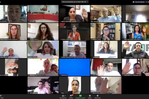 Captura de pantalla de la sesión virtual