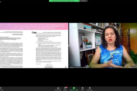 Captura de pantalla de la sesión virtual