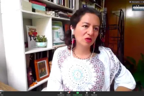 Captura de pantalla de la sesión virtual