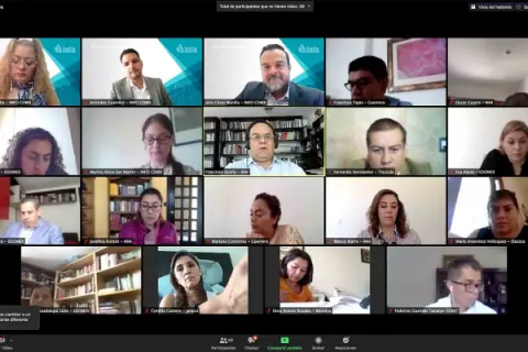 Captura de pantalla de la sesión virtual
