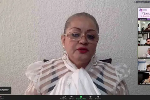 Captura de pantalla de la sesión virtual