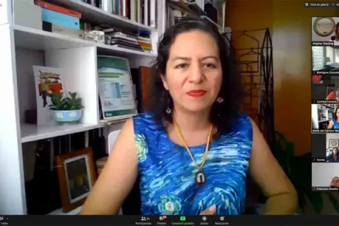 Captura de pantalla de la sesión virtual