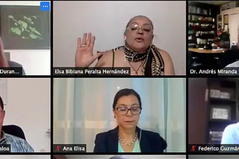 Captura de pantalla de la sesión virtual