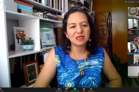 Captura de pantalla de la sesión virtual