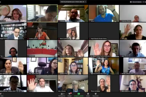 Captura de pantalla de la sesión virtual