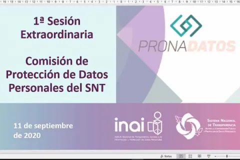Captura de pantalla de la sesión virtual