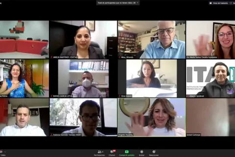 Captura de pantalla de la sesión virtual