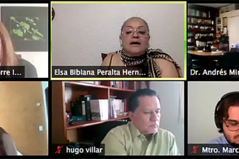 Captura de pantalla de la sesión virtual