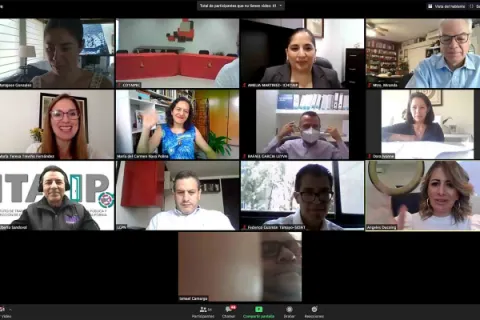 Captura de pantalla de la sesión virtual
