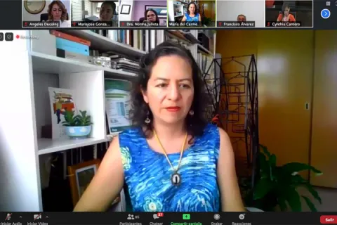 Captura de pantalla de la sesión virtual