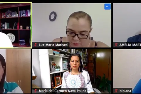 Captura de pantalla de la sesión virtual