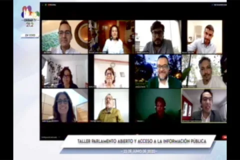 Captura de pantalla de la sesión virtual