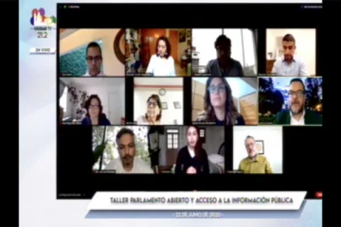 Captura de pantalla de la sesión virtual