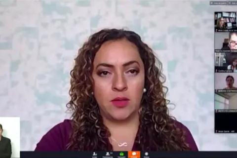 Captura de pantalla de la sesión virtual