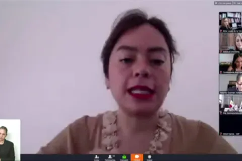 Captura de pantalla de la sesión virtual