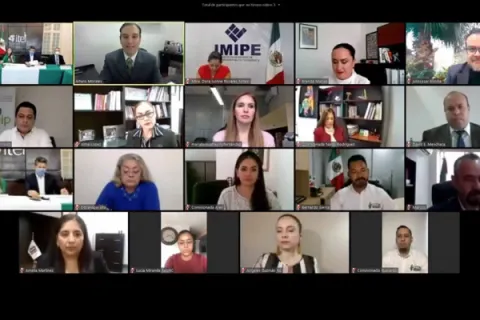 Captura de pantalla de la sesión virtual